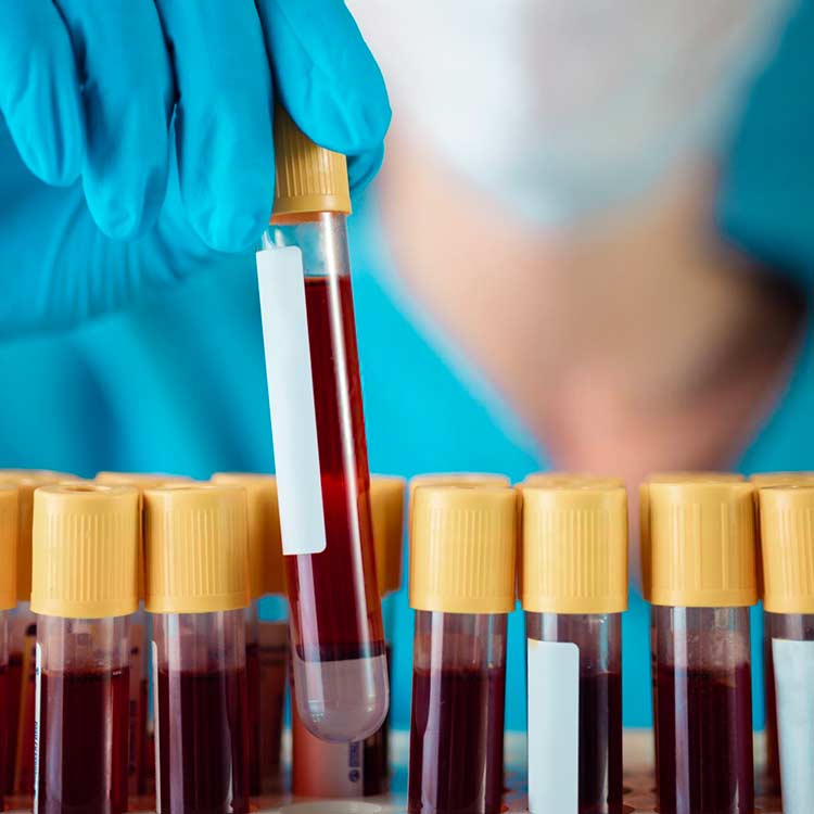 Laboratorio Clínico San Andrés